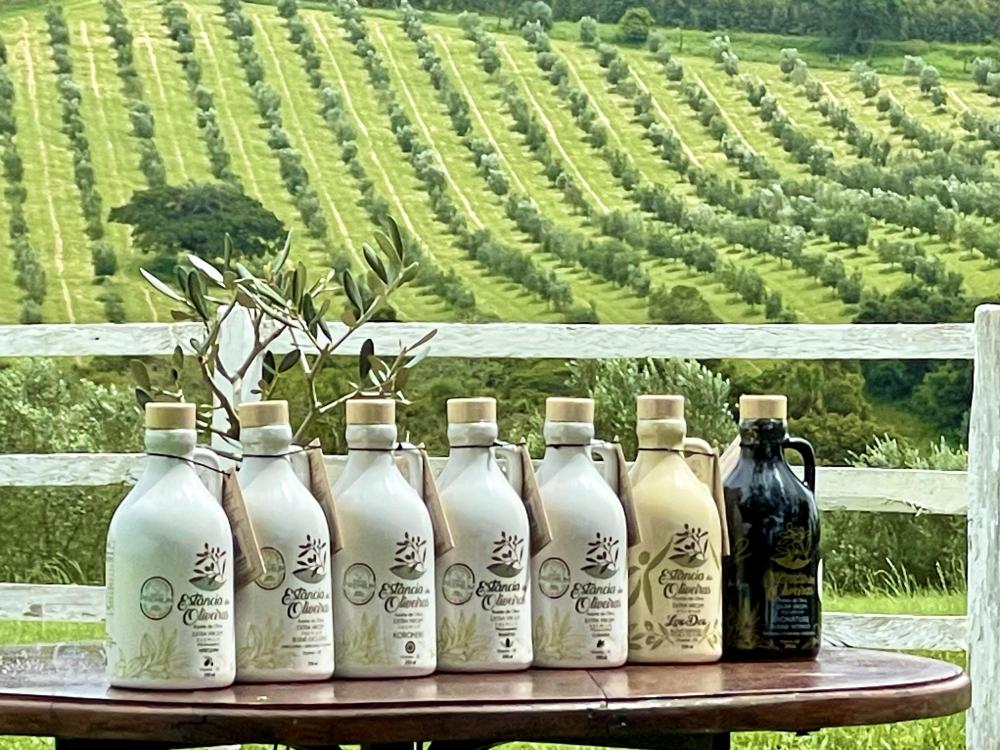 De Viamão para o mundo: azeites da Estância das Oliveiras premiados na Itália