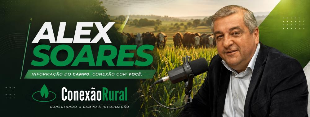 Preços, El Niño e crédito ditam o tamanho da lavoura de arroz 2026-27