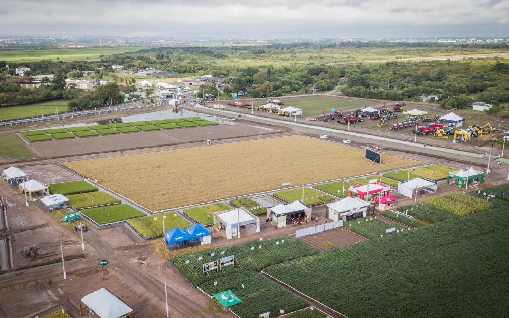 Estação da Embrapa de Capão do Leão sendo preparada para receber a Abertura da Colheita do Arroz de 2019