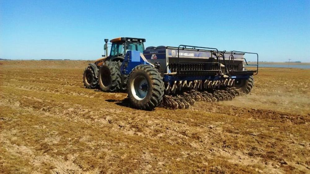 Arroz: duas regiões com apenas a metade do plantio previsto