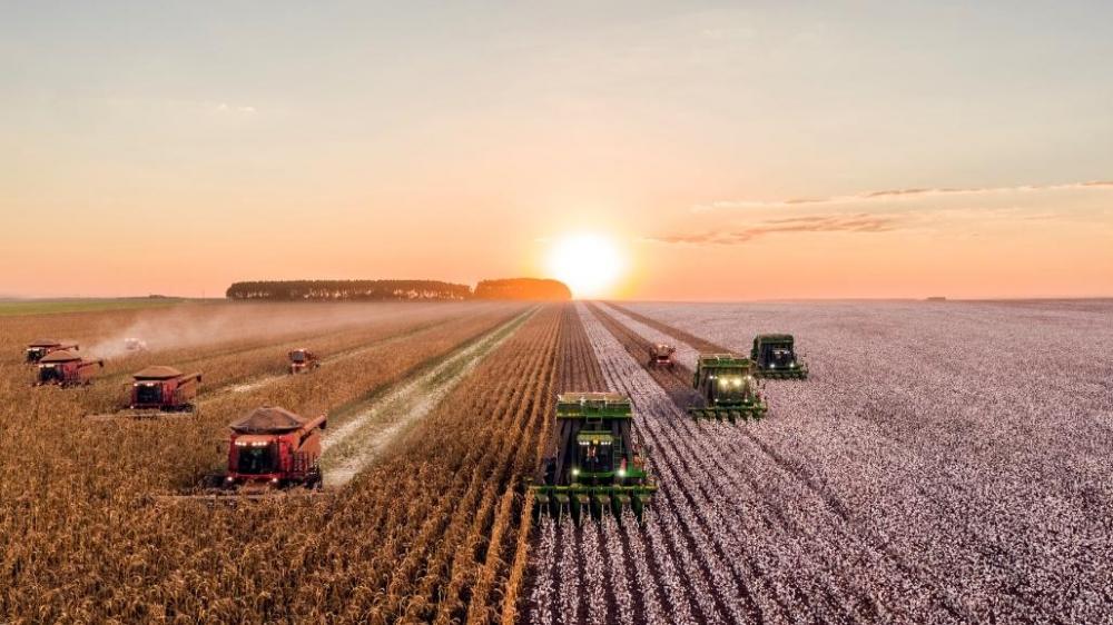 Produção sustentável de alimentos sim. Incendiários não