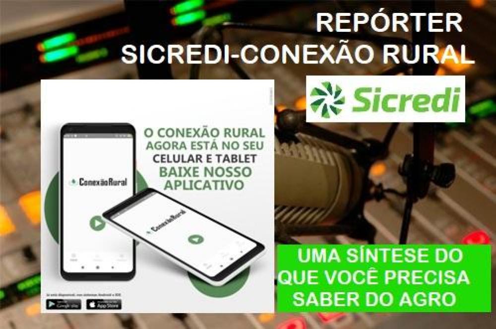 Repórter Sicredi-Conexão Rural  - Leia os destaques e ouça a edição desta quarta-feira, 15 de abril de 2020