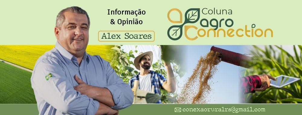 Formulista demais e fomentador de gastos - Antônio da Luz comenta o pacote de regras do governo